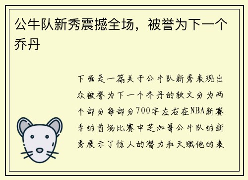 公牛队新秀震撼全场，被誉为下一个乔丹